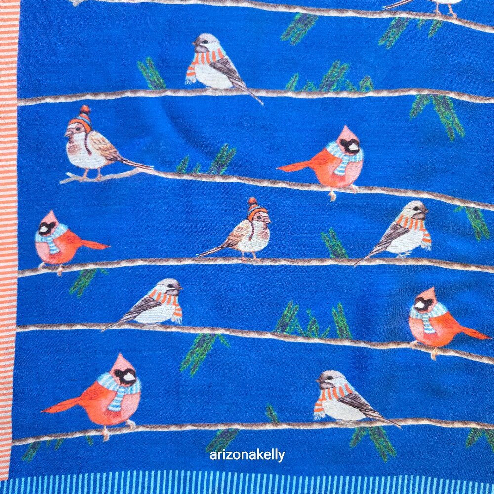 Talbots Winter Weather Birds Scarf Vicose/Silk Blend Birders Birdwatching - Picture 1 of 13